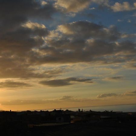 Discover The North Of The Island Of Tenerife La Laguna  Exteriör bild