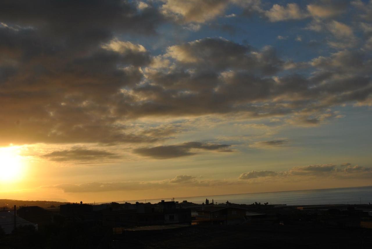 Discover The North Of The Island Of Tenerife La Laguna  Exteriör bild